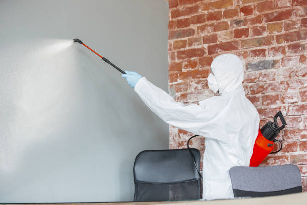 Best Airborne Mold Testing  in Magnolia, OH