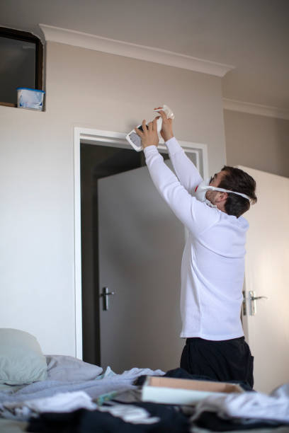 Best Real Estate Mold Inspection  in Magnolia, OH