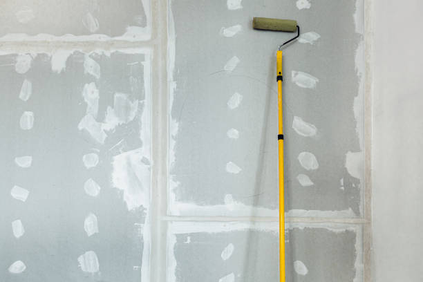 Best Mold Prevention Services  in Magnolia, OH