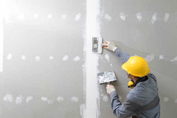 Dehumidification Services in Magnolia, OH