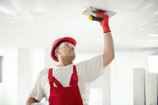 Best Dehumidification Services  in Magnolia, OH