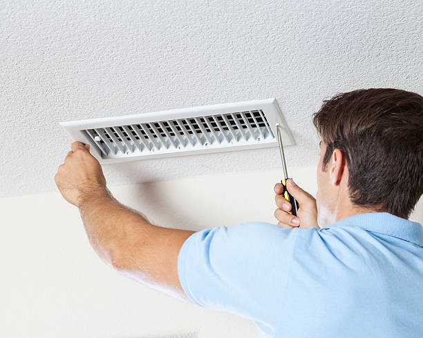 Professional Mold Removal in Magnolia, OH
