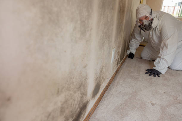 Best HVAC Mold Inspection and Cleaning  in Magnolia, OH