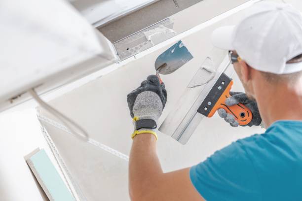 Best Comprehensive Air Testing for Mold Contaminants  in Magnolia, OH